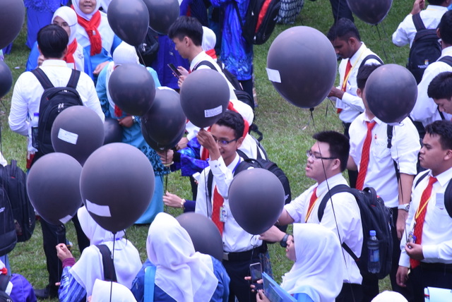 295 DSC 0379